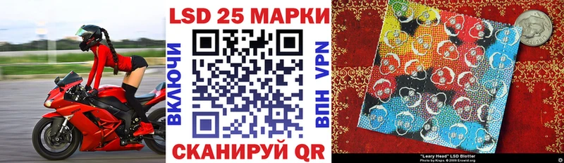 купить наркотик  Лесной  кракен ССЫЛКА  Наркотические марки 1500мкг 